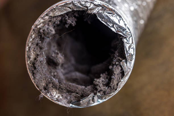 Best HVAC Air Duct Cleaning  in Allegan, MI