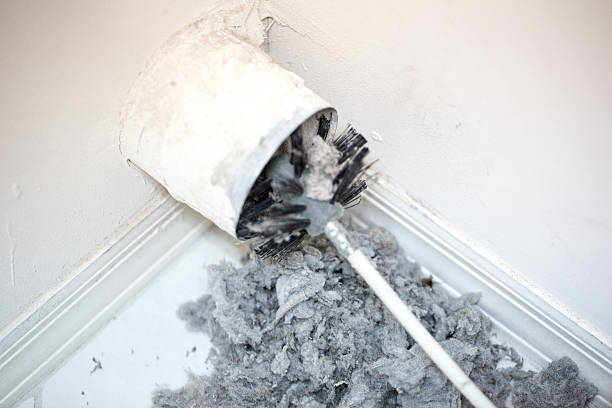 Air Duct Mold Removal in Allegan, MI